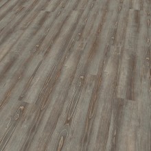 Grey Pine