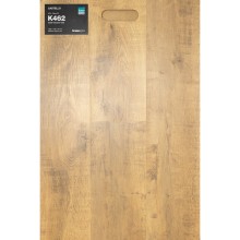 Gold Volcano Oak